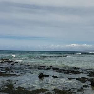 Meet your Posher, Cathy